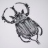 Great dotwork-style bug with hard testa tattoo design