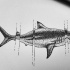 Great dotwork shark and vertical lines tattoo design