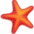 Great orange starfish with white pimples tattoo design