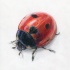 Great realistic colorful crawling ladybug tattoo design
