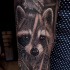 Great realistic racoon tattoo on sleeve