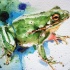 Green-and-blue watercolor frog tattoo design