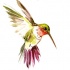 Green hummingbird with purple tail and orange neck tattoo design