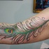 Tatuaje  de pluma hermosa en el brazo