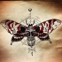 Grey-and-red dotwork moth with skull ornament tattoo design