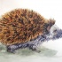 Grey-body hedgehog with brown spines tattoo design