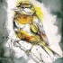 Grey-drawn sparrow on yellow watercolor background tattoo design