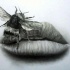 Grey-ink bee crawling on womans lips tattoo design