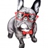 Grey-ink bulldog with red bow and glasses tattoo design