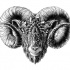 Grey-ink decorated ram head tattoo design