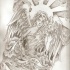 Anjo memorial detalhado de tinta cinza no projeto de tatuagem de sol