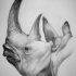 Grey-ink dreaming rhino head with sharp horns tattoo design