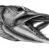 Grey-ink northern pike skull water animal tattoo design