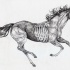 Grey-ink running half-skeleton horse tattoo design by Painting Gael