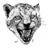 Grey-ink screaming cheetah head tattoo design