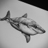 Grey-ink swimming shark with cunning grin tattoo design