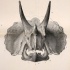 Grey horned dinosaur skull tattoo design
