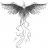 Grey pencilwork open-winged phoenix with swirly tail tattoo design
