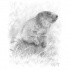 Grey realistic rodent standing in high grass tattoo design