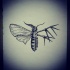 Half-skeleton moth tattoo design