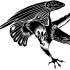 Huge black attacking eagle tattoo design
