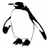 Huge fat black-and-white penguin tattoo design
