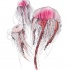 Huge grey-contour jellyfish trio with pink shadows tattoo design