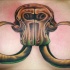 Tatuaje en el pecho, 
cráneo viejo de mamut