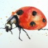 Huge watercolor ladybug tattoo design
