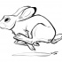 Hurried outline rabbit tattoo design by Grumpy Goat
