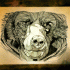 Impressive bear muzzle tattoo design