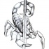 Impressive grey scorpion keeping a sword tattoo design