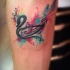 impressionante colori vivaci cigno tatuaggio su braccio