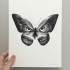 Interesting black-and-white butterfly with owl pattern tattoo design