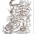 Japanese style tiger on rocks tattoo design