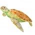 Light green body turtle with brown shell tattoo design