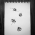 Little black-and-white sitting and flying ladybugs tattoo design