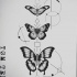 Little black butterfly row with geometric drawings tattoo design