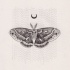 Little grey moth and reversed moon on dashed background tattoo design