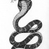 Lordy black-and-white reptile in crown tattoo design