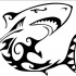 Lordy tribal shark tattoo design