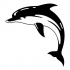 Lovely big black-and-white jumping dolphin tattoo design