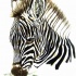 Lovely black-and-white brown-eyed zebra portrait tattoo design