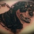 Tatuaje de rottweiler en marco de madera