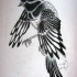 Lovely black-and-white screaming raven tattoo design