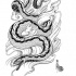 Lovely black-and-white swimming snake tattoo design