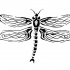 Lovely black dragonfly with celtic wings by Ragatikas