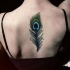 Tatuaje en la espalda, pluma de pavo real grácil