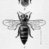 Lovely blak-and-white bee trio row tattoo design