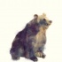 Lovely fluffy brown sitting bear tattoo design